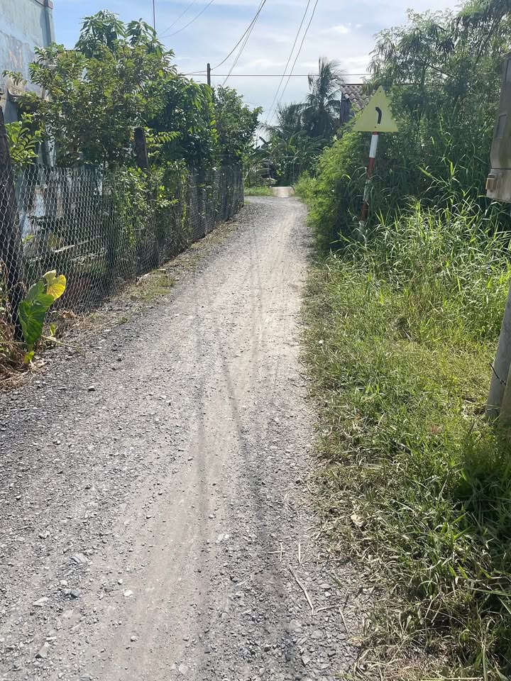 Đất nền Tân Điền Gò Công Đông 110m² giá chỉ 250 triệu - Cơ hội đầu tư hấp dẫn!