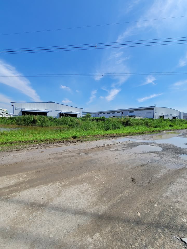 Đất kho ngoại quan 11ha tại ấp Lợi Thuận, Bến Cầu - Giá chỉ 6 triệu/m²