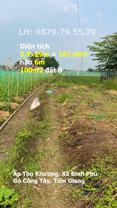 Đất nền Bình Phú, Gò Công Tây 168m² giá 395 triệu - View kênh lý tưởng!