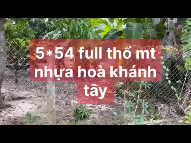 Đất thổ cư Tân Bình 270m² giá chỉ 1.6 tỷ - Sổ đỏ chính chủ!