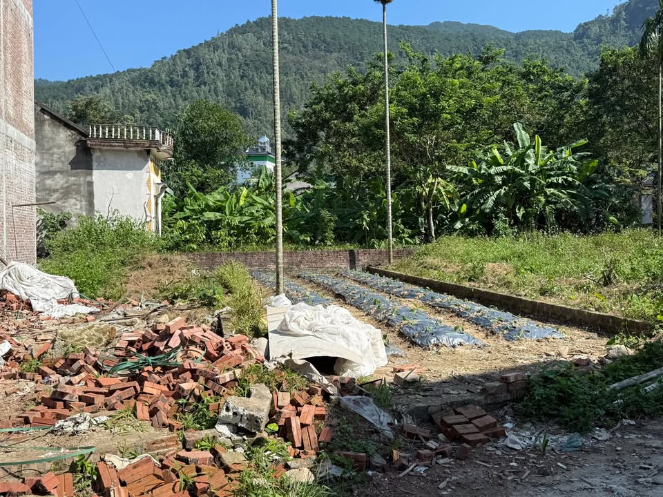 Đất nền Đại Đình Tam Đảo 100m² giá chỉ 500 triệu - Cơ hội đầu tư hấp dẫn!