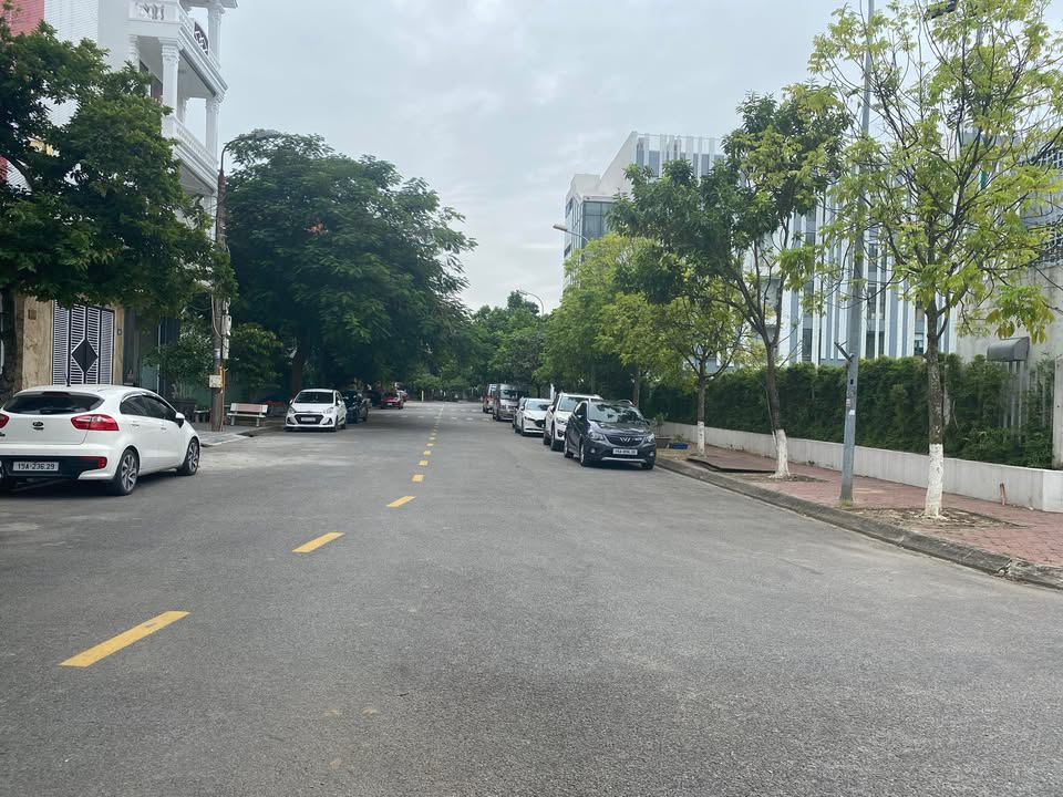 Đất nền dự án Sao Đỏ 150m² giá 40 triệu/m² - Gần trường Dewy, khách sạn Pearl River!