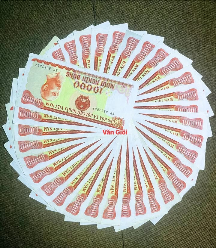 Đất nền Cát Linh, Hải An 42.47m² giá 1.18 tỷ - Gần chợ cá Nam Hải!