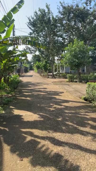 Đất nền Trảng Bom 100m² giá 550 triệu - Đầu tư sinh lời ngay!