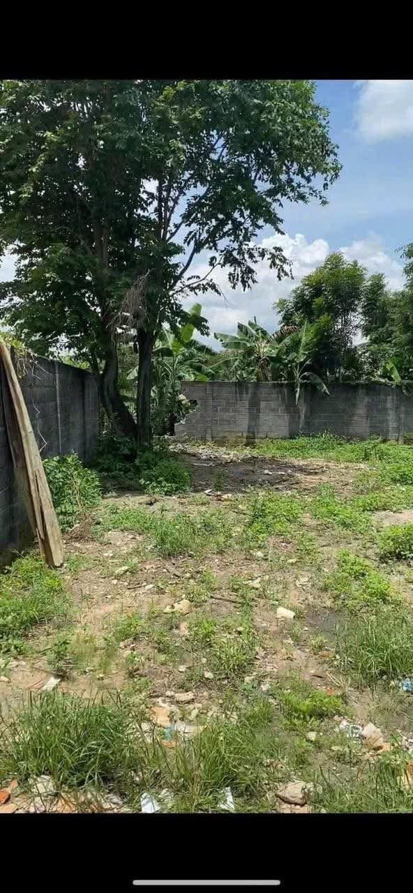 Đất thổ cư 456m² đường Đông Minh, Dĩ An - Giá 10.5 tỷ, thuận tiện giao thông!