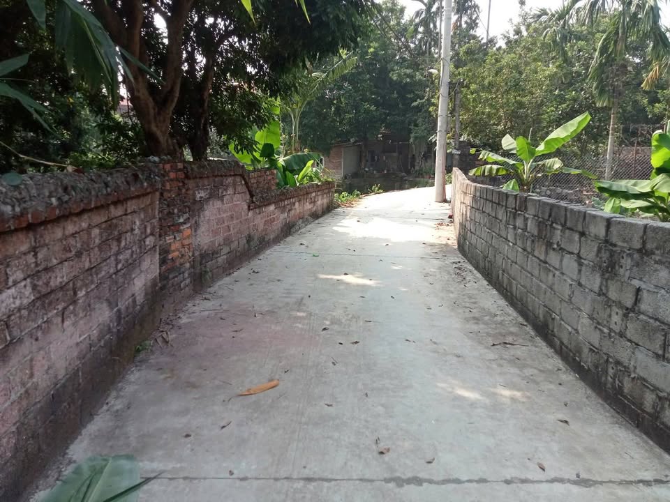 Đất lô góc Trạch Mỹ Lộc - Phúc Thọ 45m² giá 1 tỷ - Cơ hội đầu tư sinh lời!