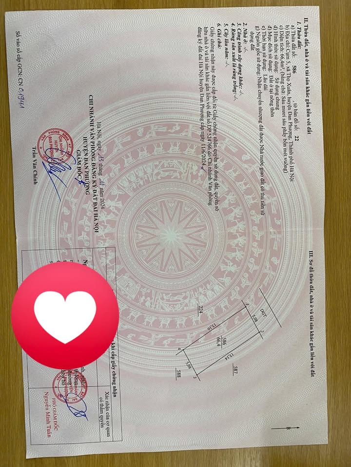 Đất nền Thọ Xuân Đan Phượng 66m² giá chỉ từ 5x triệu/m² - Đầu tư sinh lời cao!