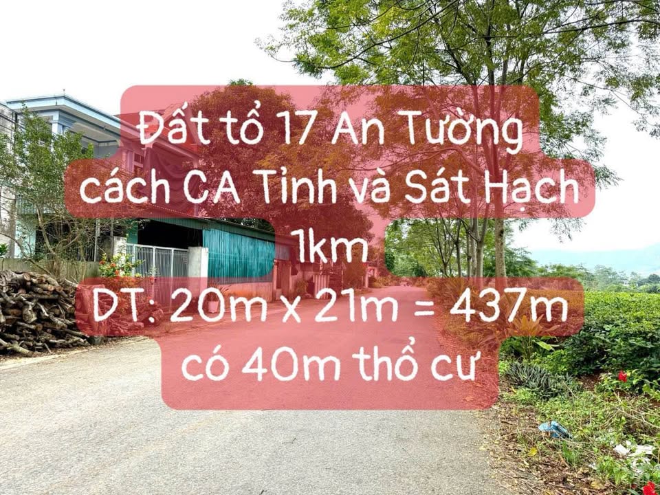 Lô đất xây nhà vườn tại An Tường, Tuyên Quang, 437m² - Mặt ngõ thông, giá thỏa thuận!