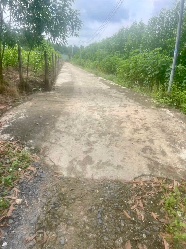 Đất nền An Viễn Trảng Bom 538m² giá chỉ 1.23 tỷ - Sổ riêng, thổ cư 50m²