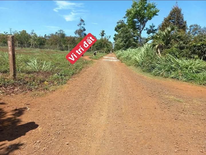 Đất nền Cuôr Đăng Cư M'gar 145m² giá 545 triệu - Đầu tư sinh lời ngay!