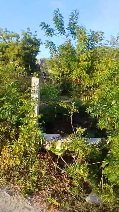 Đất thổ cư 700m² tại Tri Hải, Ninh Hải - Mặt tiền 18.3m, view đầm đẹp!