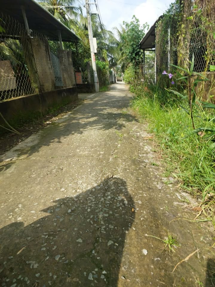 Đất thổ cư 171m² tại phường Sơn Đông, Bến Tre - Giá chỉ 700 triệu VND!