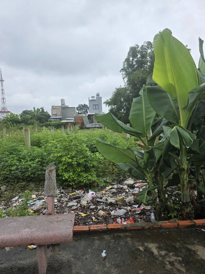 Đất nền Tân Thông Hội 150m² giá 2.9 tỷ - Cơ hội cuối cùng sở hữu lô đất đẹp!