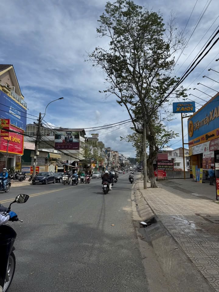Đất mặt tiền đường Phan Chu Trinh Đà Lạt 1.779,53m² giá 150 tỷ - Kinh doanh sầm uất!