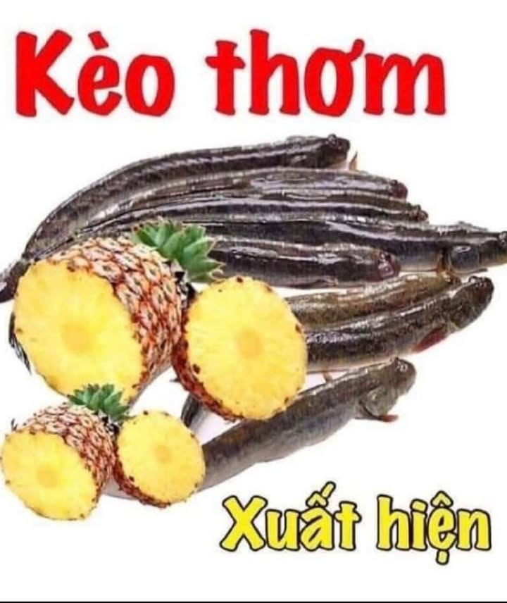 Đất nền Hòa Quý Ngũ Hành Sơn 130m² giá 2 tỷ - Sổ hồng chính chủ, thuận tiện xây dựng!