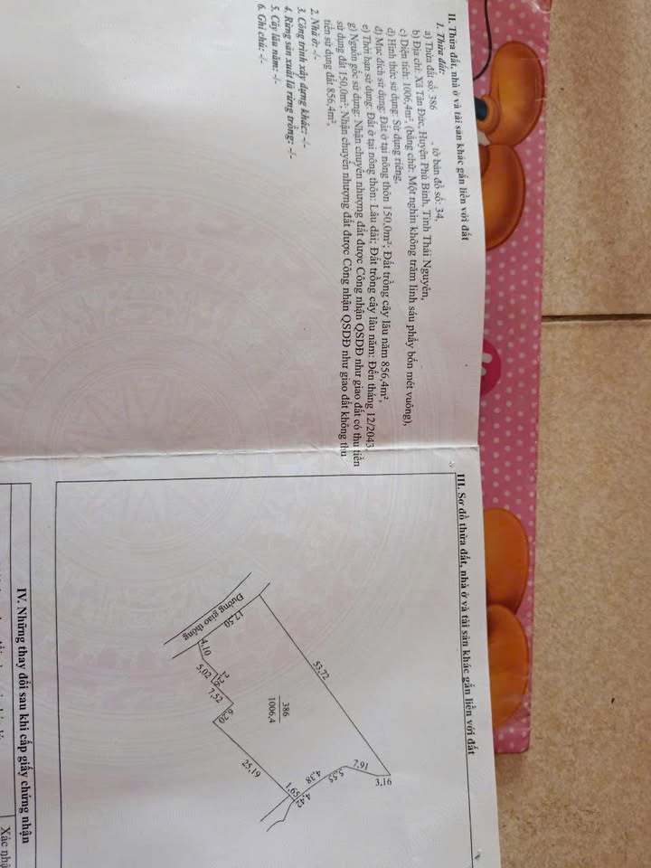 Đất nền Tân Đức Phú Bình 1000m² giá 1.2 tỷ - Cơ hội đầu tư tuyệt vời!