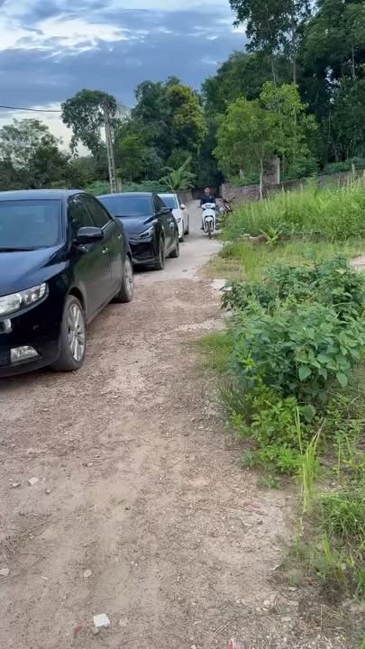 Đất nền khu 2 Võ Lao - Thanh Ba 237m² giá chỉ 2xx triệu - Đường ô tô vào tận nơi!