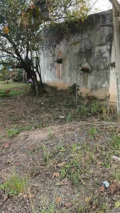 Đất thổ cư 200m² tại thôn 15, xã Ea Păl - Giá 1.8 tỷ - Nguồn thu thụ động hấp dẫn!