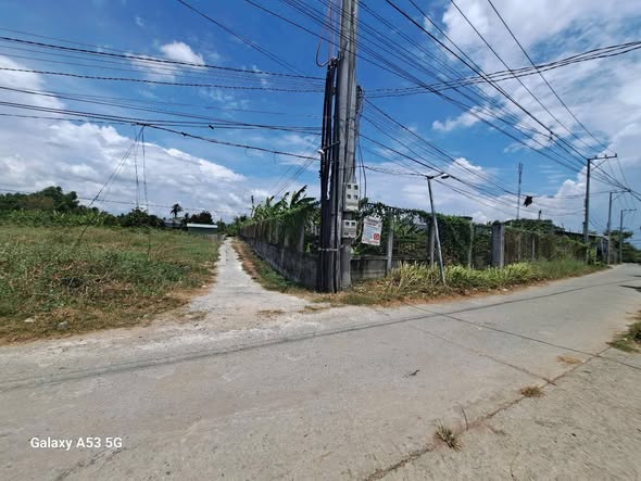 Đất thổ cư 1600m² xã Nhị Thành, Thủ Thừa - Giá 5.3 tỷ, thương lượng nhẹ!