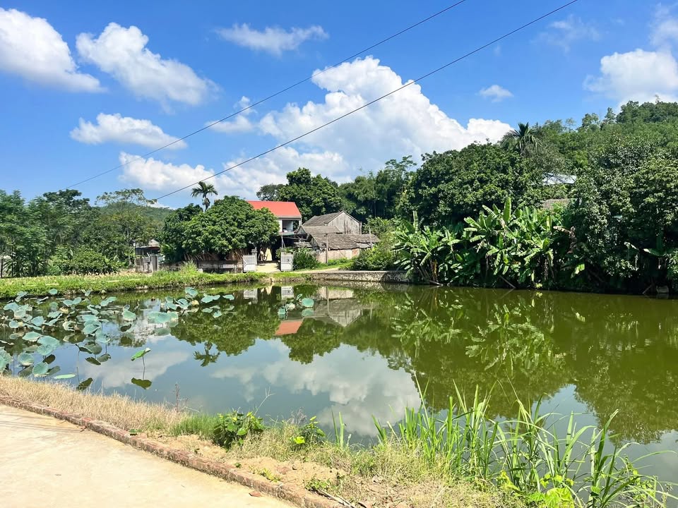 Lô đất trung tâm xã Đại Phúc 136m² giá 900 triệu - View hồ tuyệt đẹp!