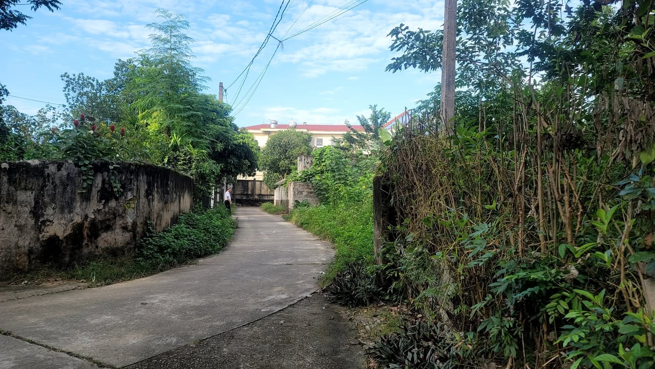 Đất nền Hùng Sơn - Đại Từ 112m² giá chỉ 200 triệu - Cơ hội đầu tư tuyệt vời!