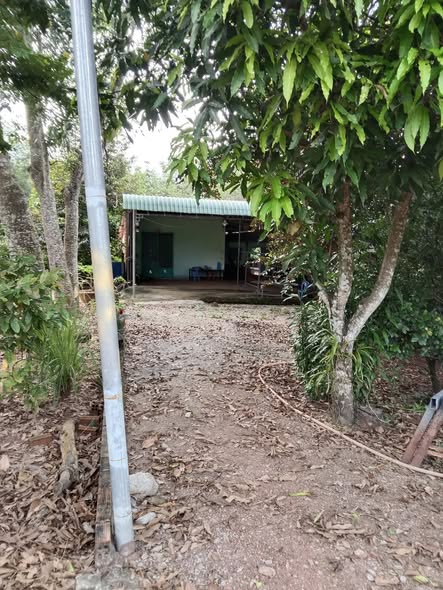 Đất nền gần KCN Tam Lập, Phú Giáo 350m² chỉ 1 tỷ - Cơ hội đầu tư hấp dẫn!