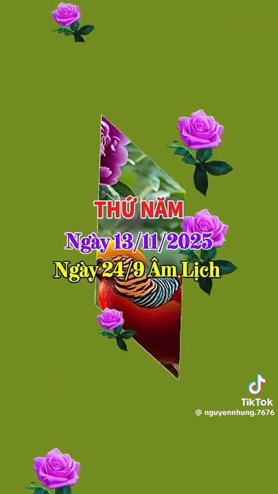 Đất nền xã Núi Thành, Hòa Vang, 172m² giá 1 tỷ - Đầu tư sinh lời hiệu quả!