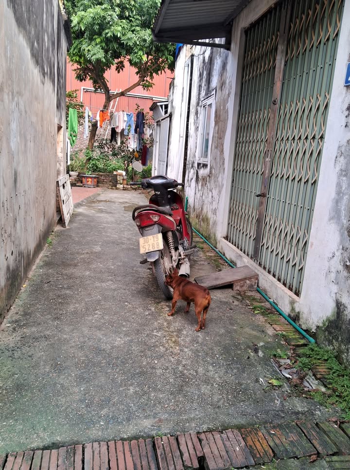 Đất Vân Canh Hoài Đức 54.7m² - Sổ đỏ chính chủ, Giá thỏa thuận hấp dẫn!