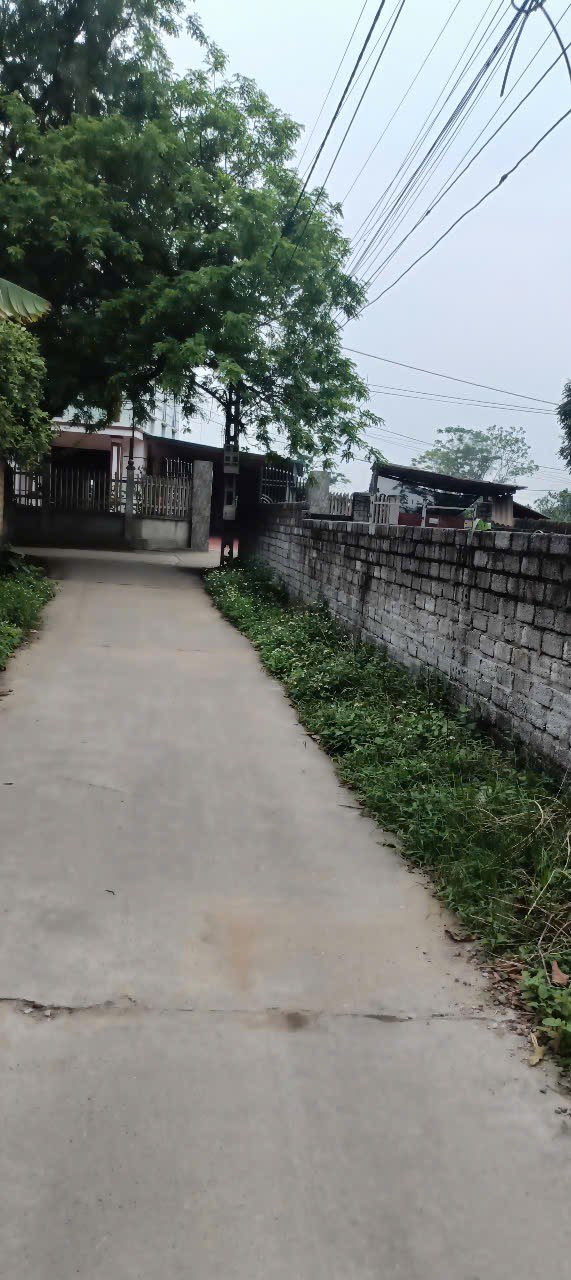 Đất nền 115m² mặt tiền 7m tại đường Tỉnh Lộ 295B, Việt Yên - Giá chỉ 700 triệu