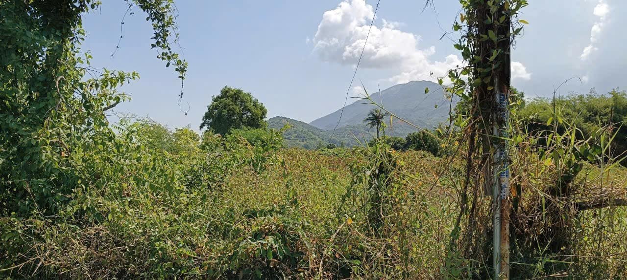 Đất thổ cư 1000m² tại thôn Kiềng Kiềng, xã Lợi Hải, giá chỉ 1 tỷ - Đầu tư sinh lời hấp dẫn!