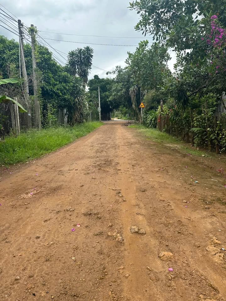 Đất thổ cư ấp Thạnh Nghĩa, Tân Châu, 294m² giá 400 triệu - Đầu tư sinh lời ngay!