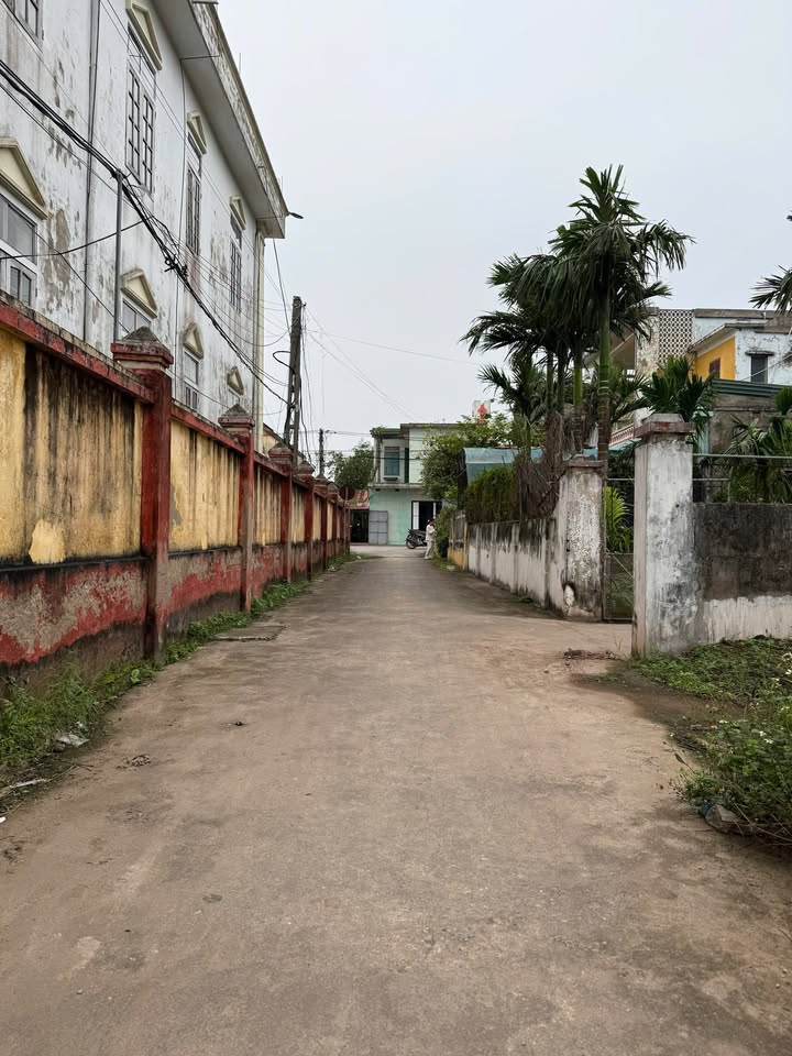 Đất nền Hải Chính - Hải Hậu 120m² giá chỉ 700 triệu - Cơ hội đầu tư hiếm có!