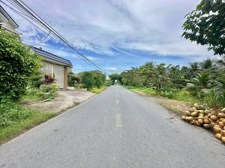 Đất góc 2 mặt tiền ĐH87C Tân Mỹ Chánh 157m² giá chỉ 1 tỷ - Cơ hội đầu tư hiếm có!