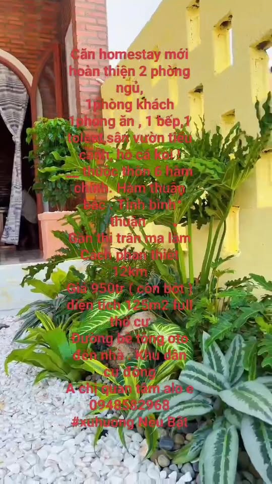 Homestay thôn 6, Hàm Chính 125m² giá 950 triệu - Không thể bỏ lỡ!