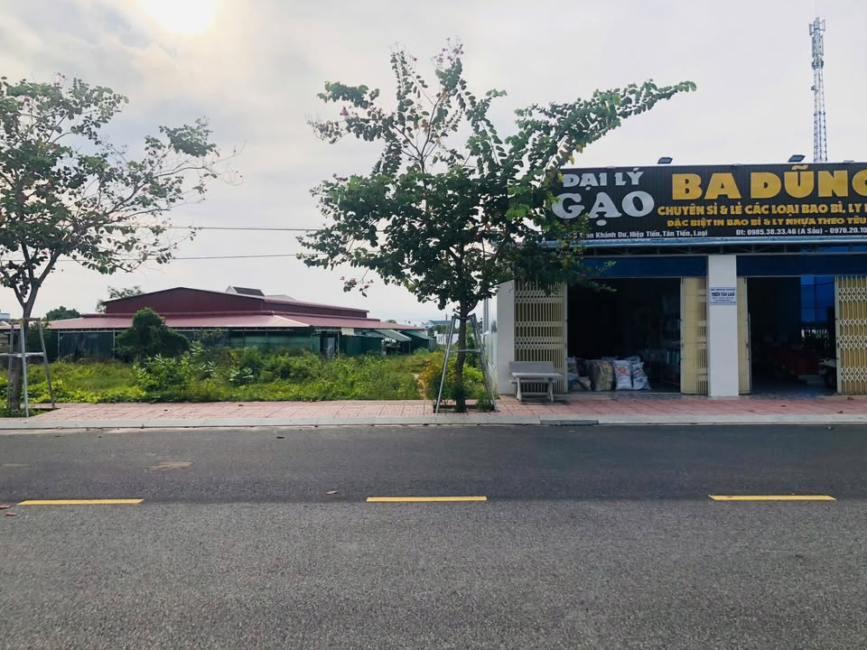 Đất nền Trần Khánh Dư, Tân Tiến, La Gi 180m² giá 2.75 tỷ - Đầu tư sinh lời ngay!