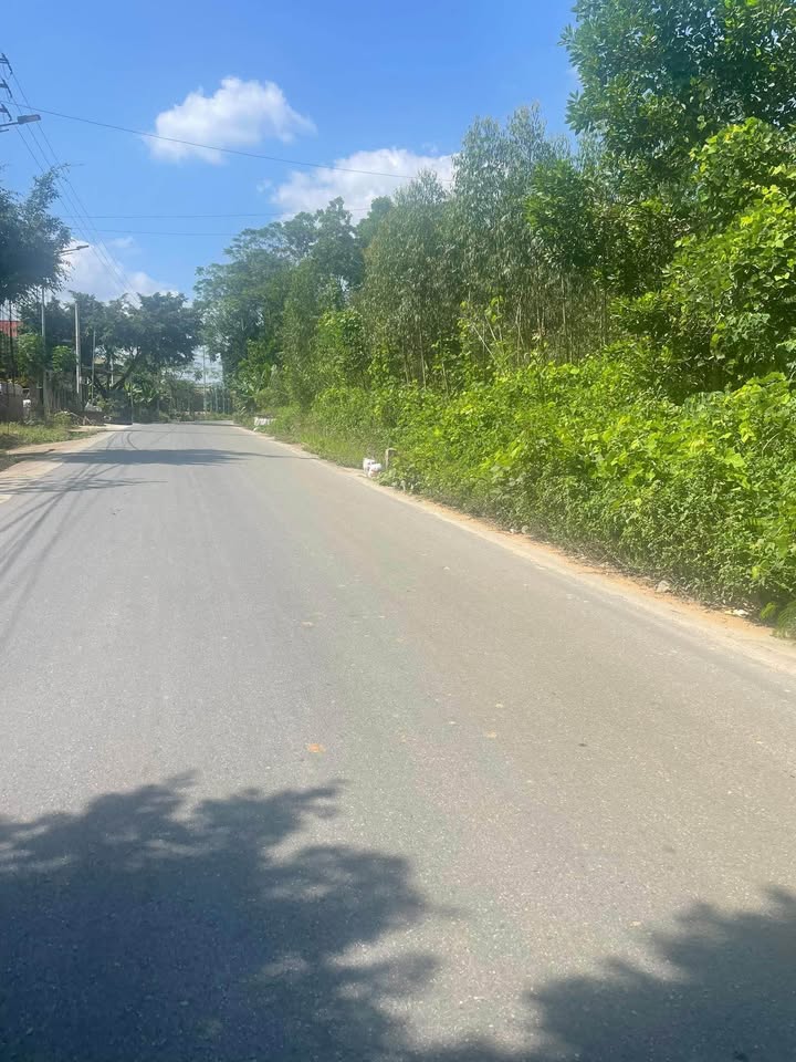 Đất mặt đường Tỉnh lộ 316, Thanh Sơn, Phú Thọ 336m² giá 2 tỷ - Tiềm năng sinh lời cao!