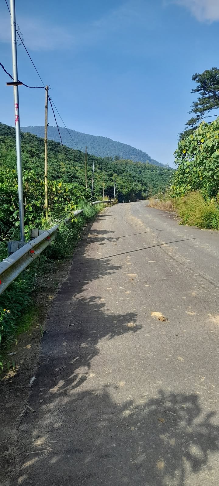 Đất nền 2000m² mặt tiền đường Phạm Hồng Thái chỉ 879 triệu - Cơ hội đầu tư sinh lời!