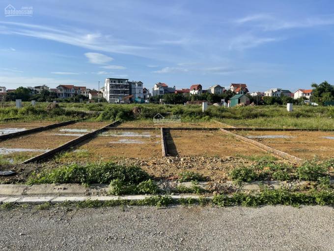 Đất dịch vụ Vân Canh Hoài Đức 44m² - Sổ đỏ riêng, xây dựng ngay!