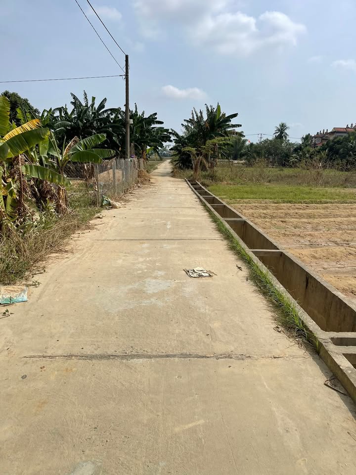 Đất trồng cây Cẩm Kim Hội An 635m² giá 500 triệu - Tiềm năng phát triển du lịch!