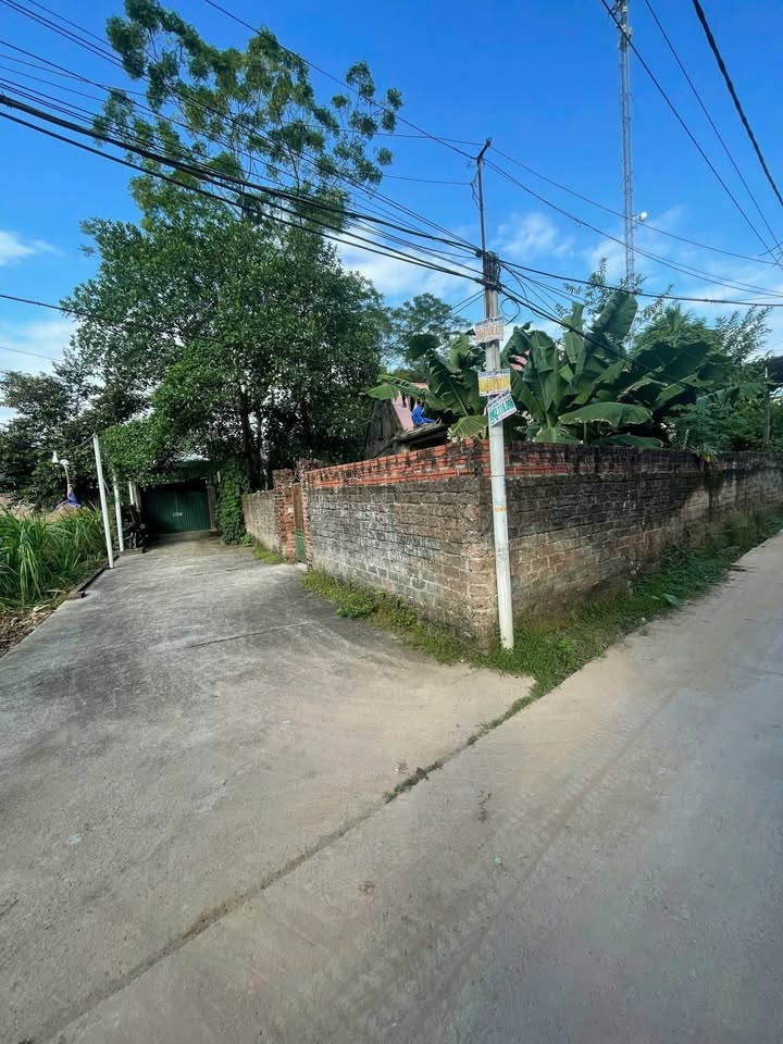 Đất thổ cư Đường Lâm, Sơn Tây 80m² giá 1.4 tỷ - Sổ đỏ chính chủ, gần trường học