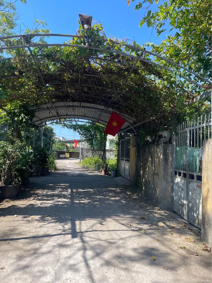 Đất nền khu phố 8 Hải Hoà 110m² giá 1 tỷ - Đường thông ô tô vào tận nơi!