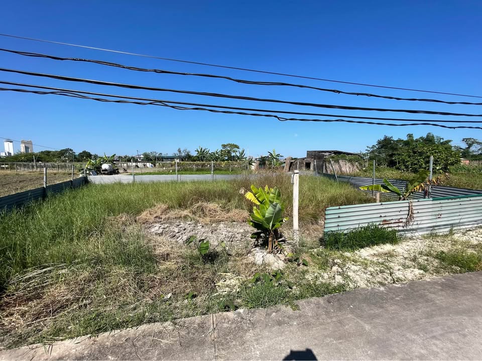 Đất chính chủ tại khu 8 Hải Hoà, 100m², giá thương lượng - Cơ hội đầu tư hấp dẫn!