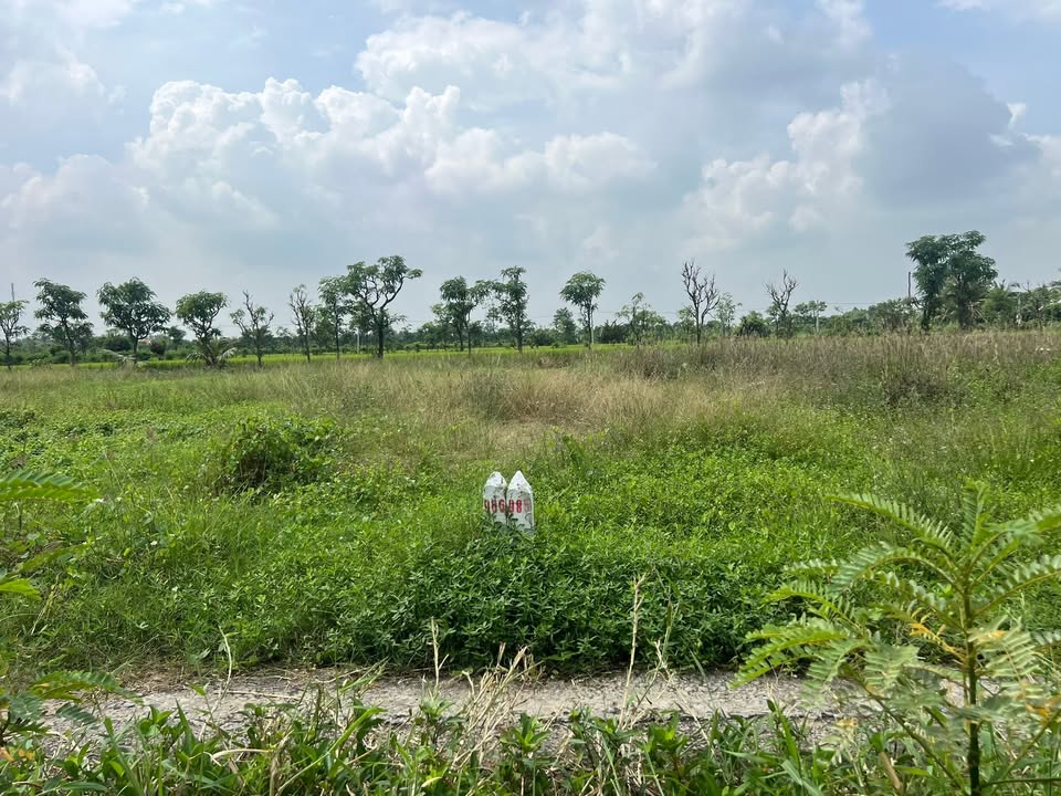 Đất nền Gò Công Đông 165m² giá 170 triệu - Sổ đỏ chính chủ trao tay!