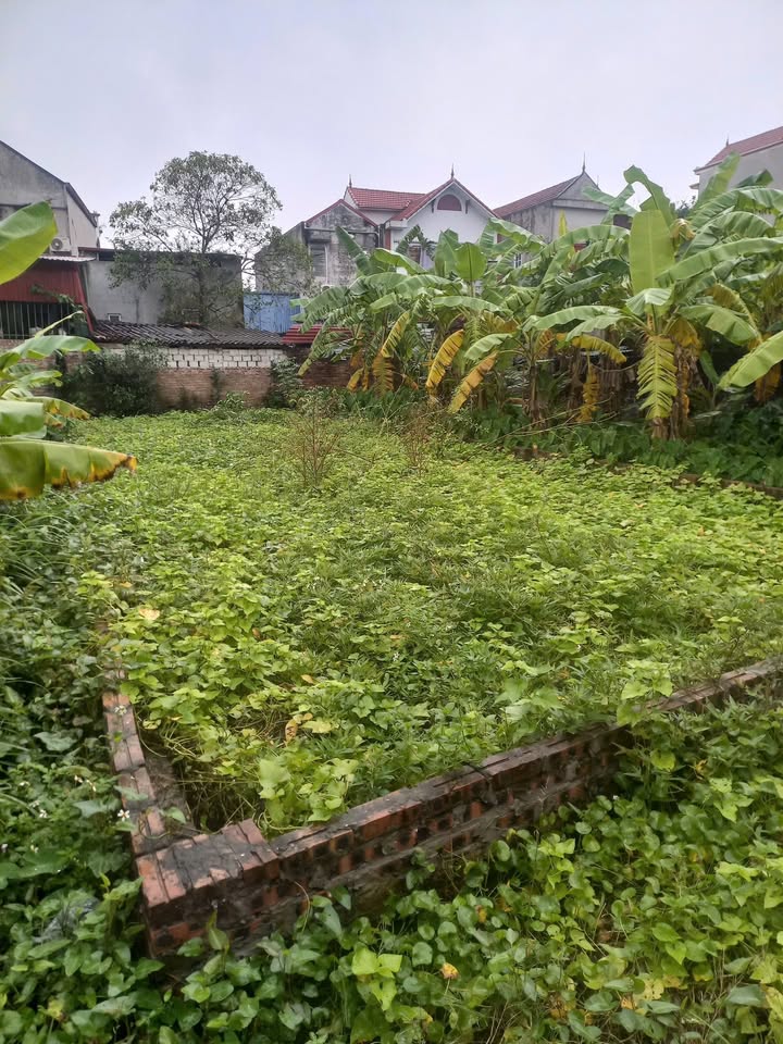 Lô đất 120m² thôn Bằng Ngang, huyện Kim Động giá 1 tỷ - Đầu tư sinh lời tốt!