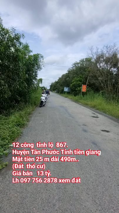 Đất mặt tiền Tỉnh Lộ 867 huyện Tân Phước 12 công giá 13 tỷ - Cơ hội đầu tư sinh lời!