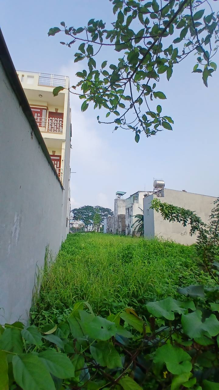 Đất mặt tiền Thạnh Lộc 15, Q.12, 120m² chỉ 7.12 tỷ - Cơ hội đầu tư hấp dẫn!