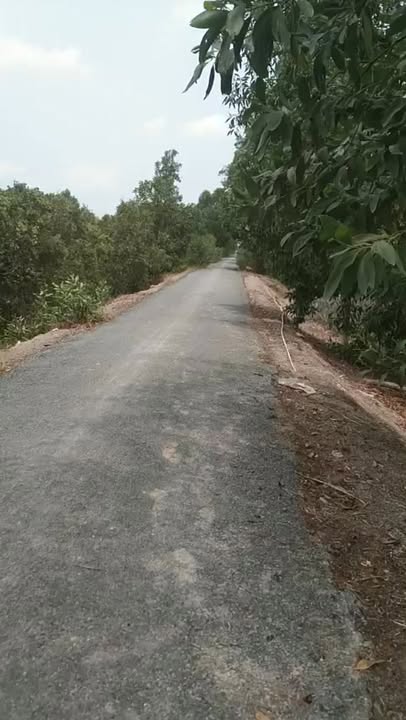 Đất nền Thạnh Tân, Tân Phước, Tiền Giang 250.000m² - Giá chỉ 5 tỷ - Cơ hội đầu tư lý tưởng!