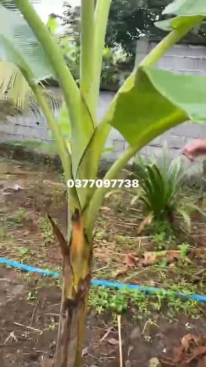 Đất thổ cư Gia Tân 1, Thống Nhất 190m² - Sổ đỏ chính chủ, giá tốt!