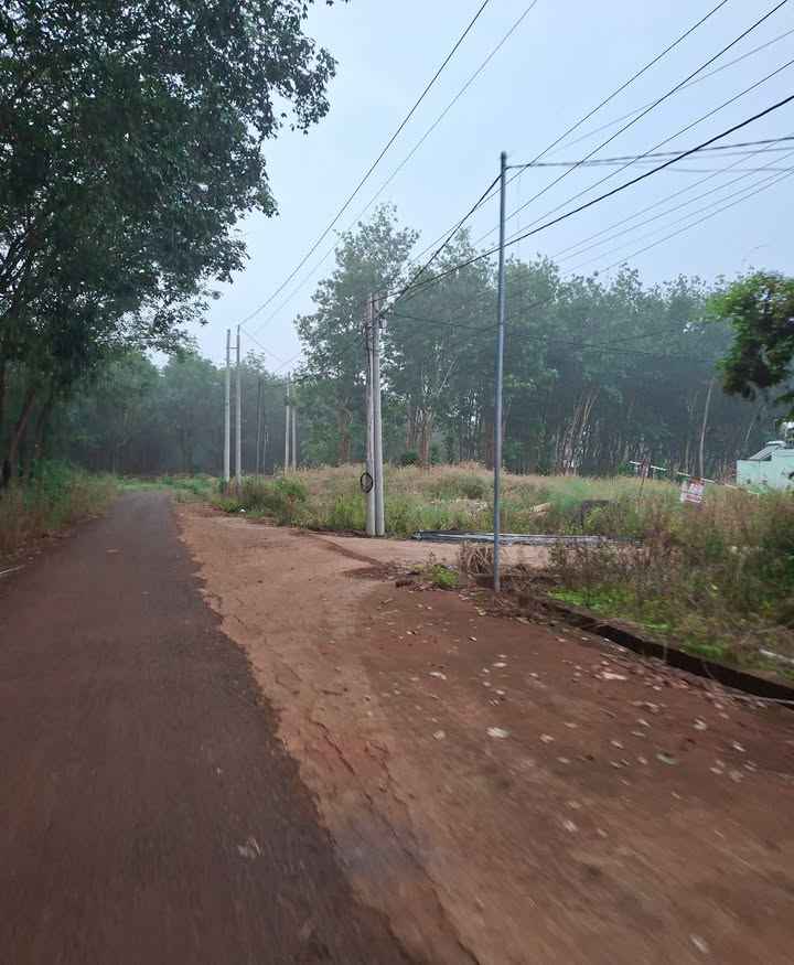 Đất vườn Phú Riềng 10000m² - Sát hồ bơi An Phú, giá thỏa thuận!