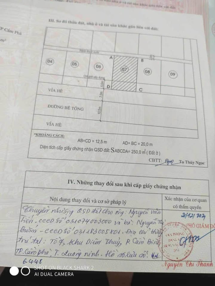 Bán lô biệt thự Cẩm Bình 250m² giá chỉ 6.25 tỷ - Cơ hội đầu tư tuyệt vời!